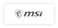 Recuadro MSI